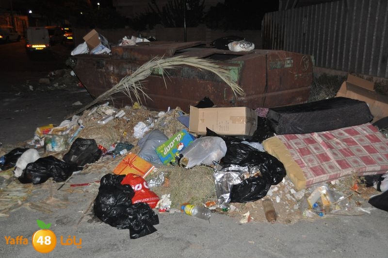 trash lud 907 (46).JPG